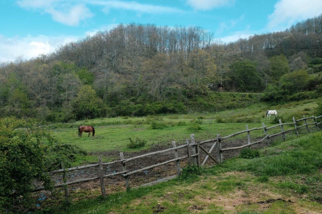 Casina Della Burraia Βίλα Subbiano Εξωτερικό φωτογραφία