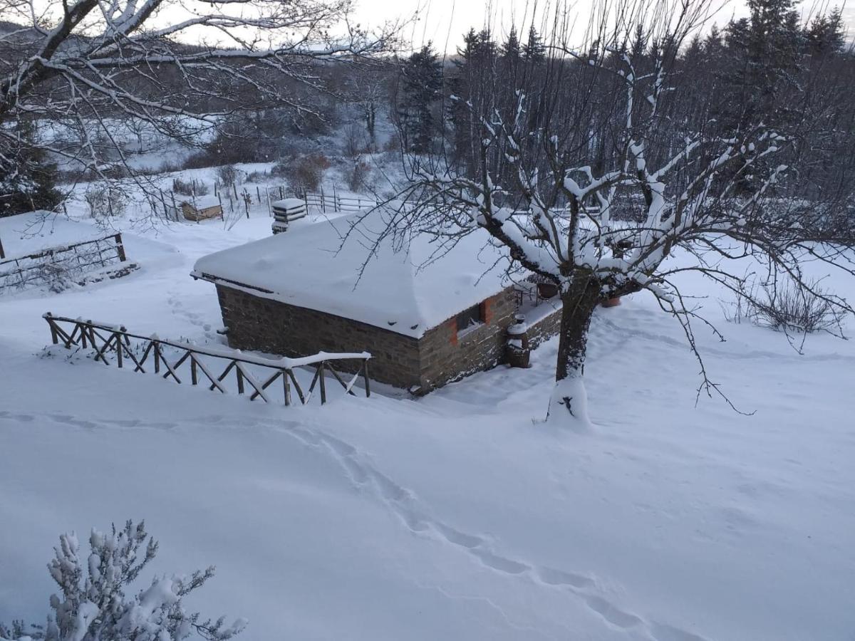 Casina Della Burraia Βίλα Subbiano Εξωτερικό φωτογραφία